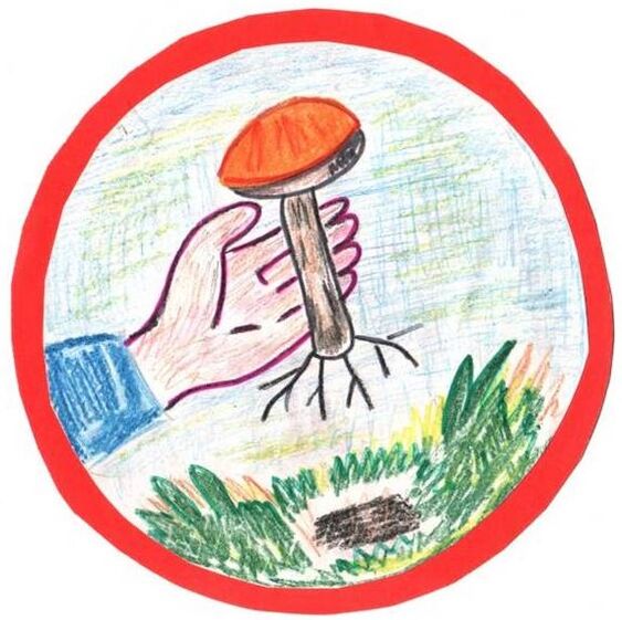 Retirer le champignon