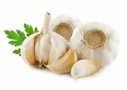 Méthodes pour le traitement du champignon des ongles avec l'ail